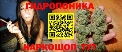 гашиш Аргун