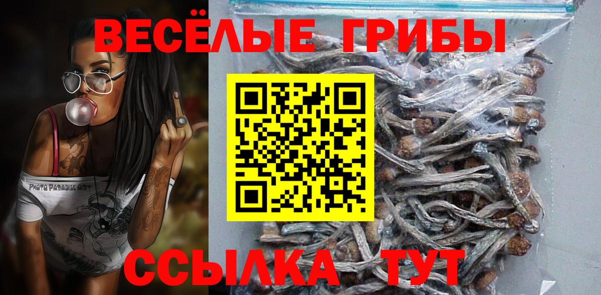Богородицк  Галлюциногенные грибы прущие грибы  Вход с VPN 